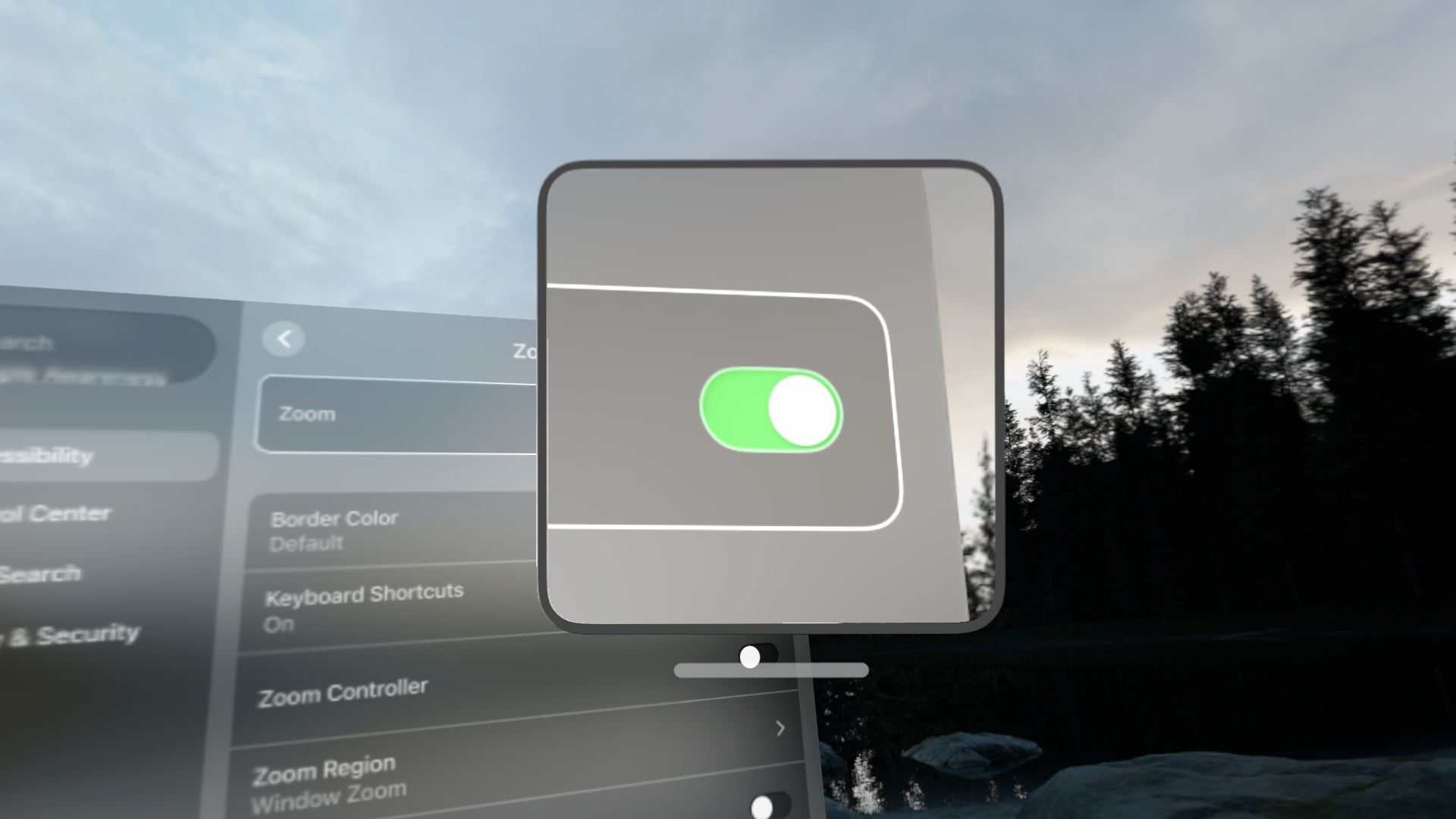 Screenshot of the Zoom settings with zoom enabled, with the zoom window focused on a toggle switch